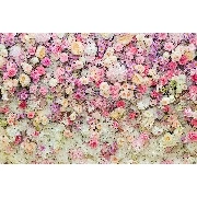3d Manzara Pembe Beyaz Sarı Güller Ve Çiçekler