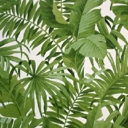 Golden Forever Krem Zemin Üstünde Yeşil Tropikal Yaprak Desenli 19252 Duvar Kağıdı 5 M²