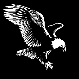 3d Manzara Beşiktaş Kartal Poster Duvar Kağıdı