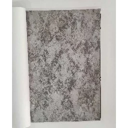 Golden Black Gri Siyah Eskitme Beton Sıva Desenli 41197 Duvar Kağıdı 16.10 M²