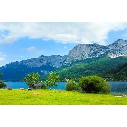 3D Manzara Avusturya Güzel Yaz Alp Gölü Grundlsee Manzarası