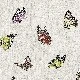 Wall212 3d Single 3 Boyutlu Vizon Eskitme Ahşap Zemin Renkli Kelebek Desenli 2058 Duvar Kağıdı 5 M²