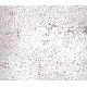 Livart Makro Mix Mor Gri Beyaz Eskitme Desenli 77-3 Duvar Kağıdı 16.50 M²
