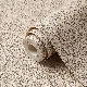 G2SLN7GBER5T6.webp