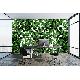 Gmz 3D Elemental Yeşil Siyah Beyaz 3 Boyutlu Tropikal Yaprak Desenli 42021-1 Duvar Kağıdı 16.50 M²