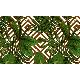 Gmz 3D Elemental Yeşil Kahve Beyaz 3 Boyutlu Tropikal Yaprak Desenli 42021-4 Duvar Kağıdı 16.50 M²