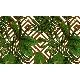 Gmz 3D Elemental Yeşil Kahve Beyaz 3 Boyutlu Tropikal Yaprak Desenli 42021-4 Duvar Kağıdı 16.50 M²